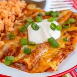 Cheese enchiladas with green onions and sour cream