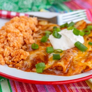 Cheese enchiladas with green onions and sour cream with rice