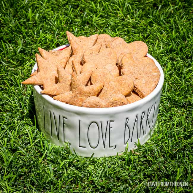 A bowl of homemade peanut butter dog treats