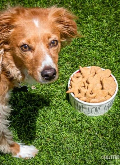 Picture of a dog next to a bowl of peanut butter dog treats