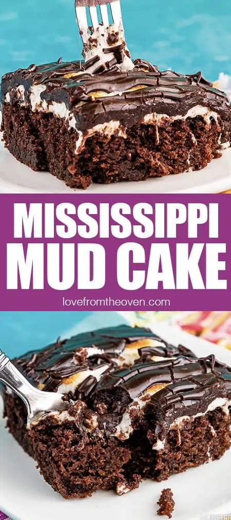 photos of Mississippi mud cake