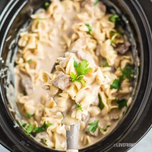 Spoonful of Beef Stroganoff