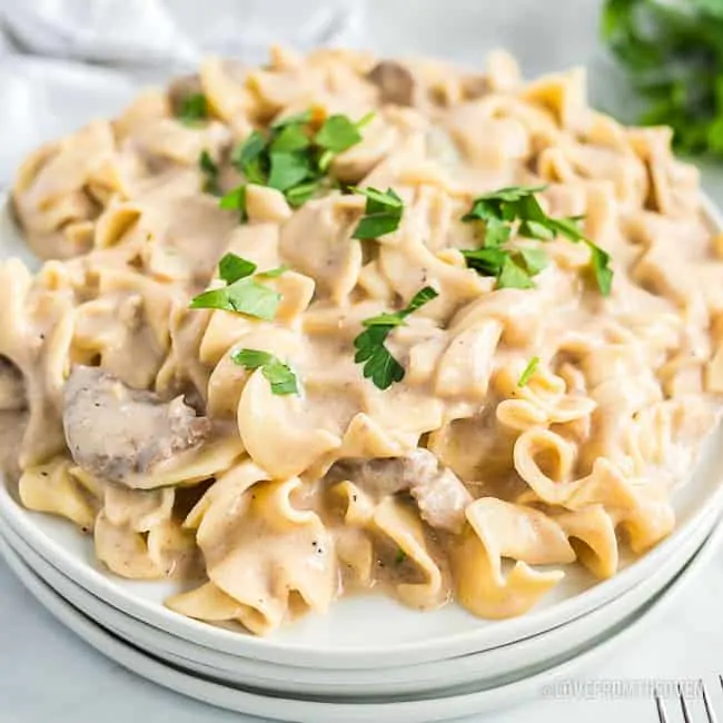 Beef stroganoff on a plate