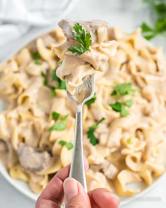 Spoonful of beef stroganoff