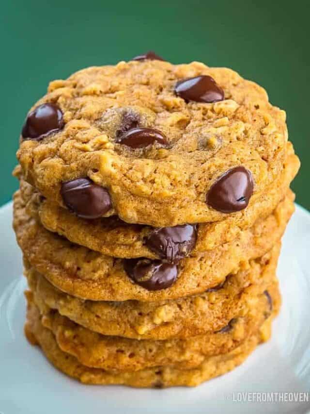 Pumpkin Chocolate Chip Cookies Story