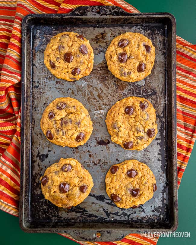 A baking sheet of pumpkin chocolate chip cookies