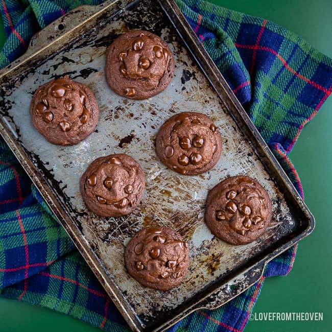 Chocolate cookies on a baking sheet