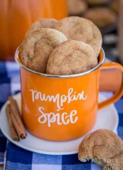 cropped-pumpkin-snickerdoodles-6434.jpg