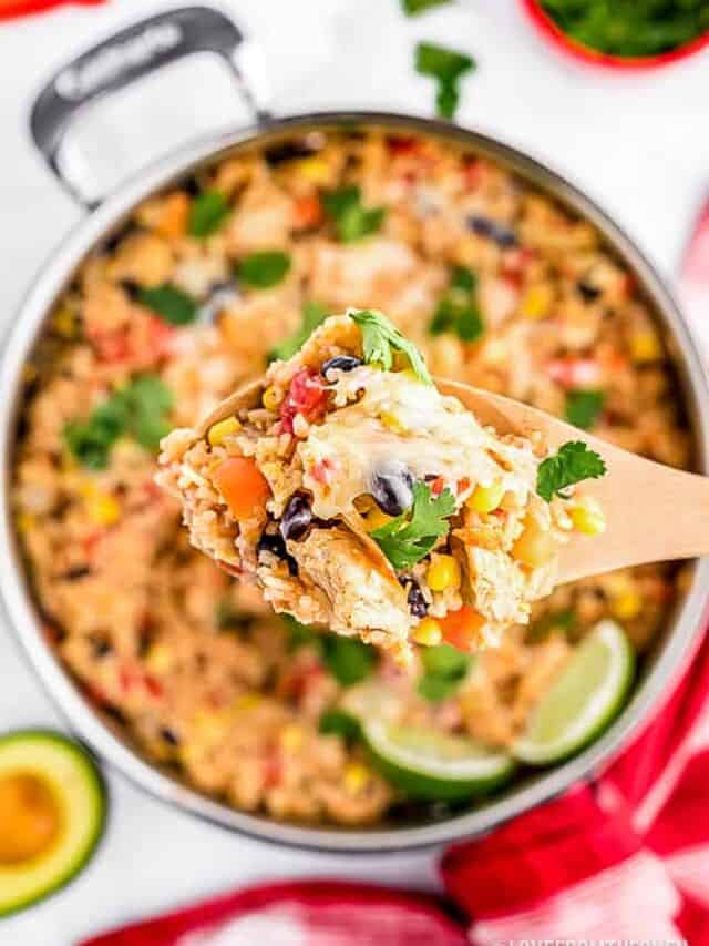 cropped-southwest-chicken-rice-22.jpg