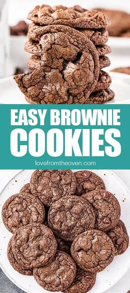 pictures of chocolate brownie cookies up close