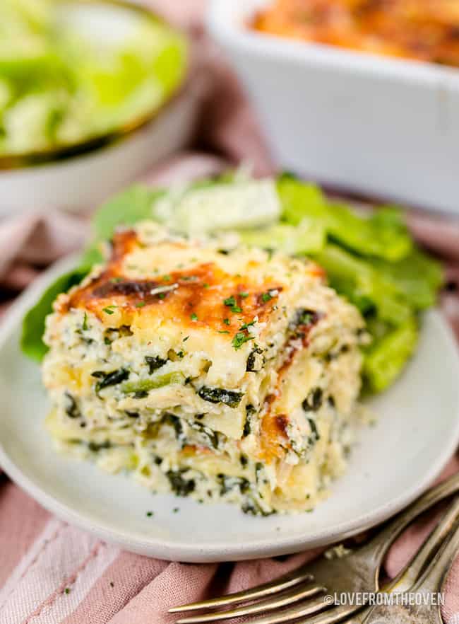 a slice of chicken alfredo lasagna on a white plate