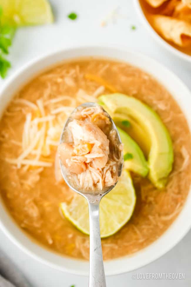 A spoonful of white chicken chili over a bowl of chili