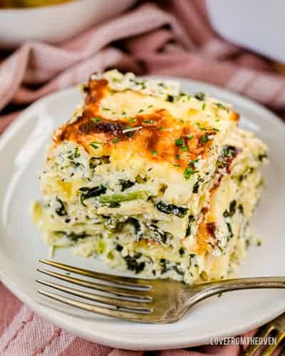 A slice of alfredo chicken lasagna on a white plate