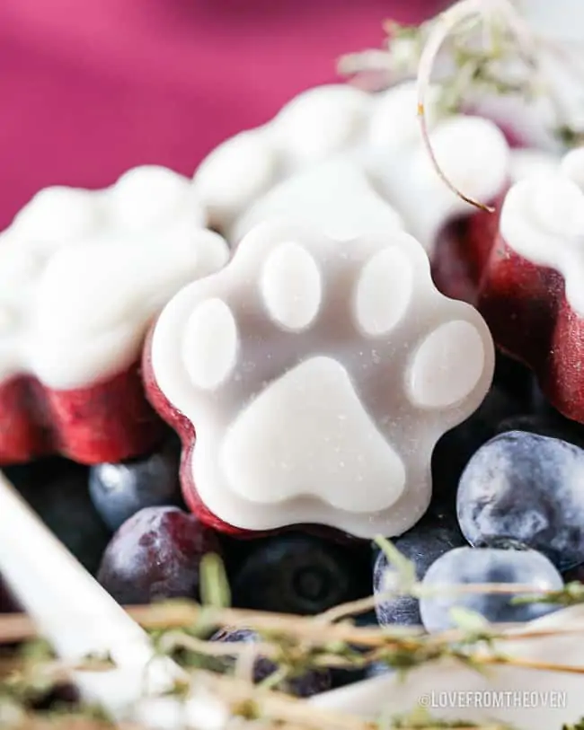 a bowl of blueberries and dog treats