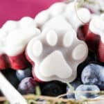 a close up of a frozen blueberry dog treat