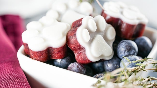 a bowl of blueberry dog treats