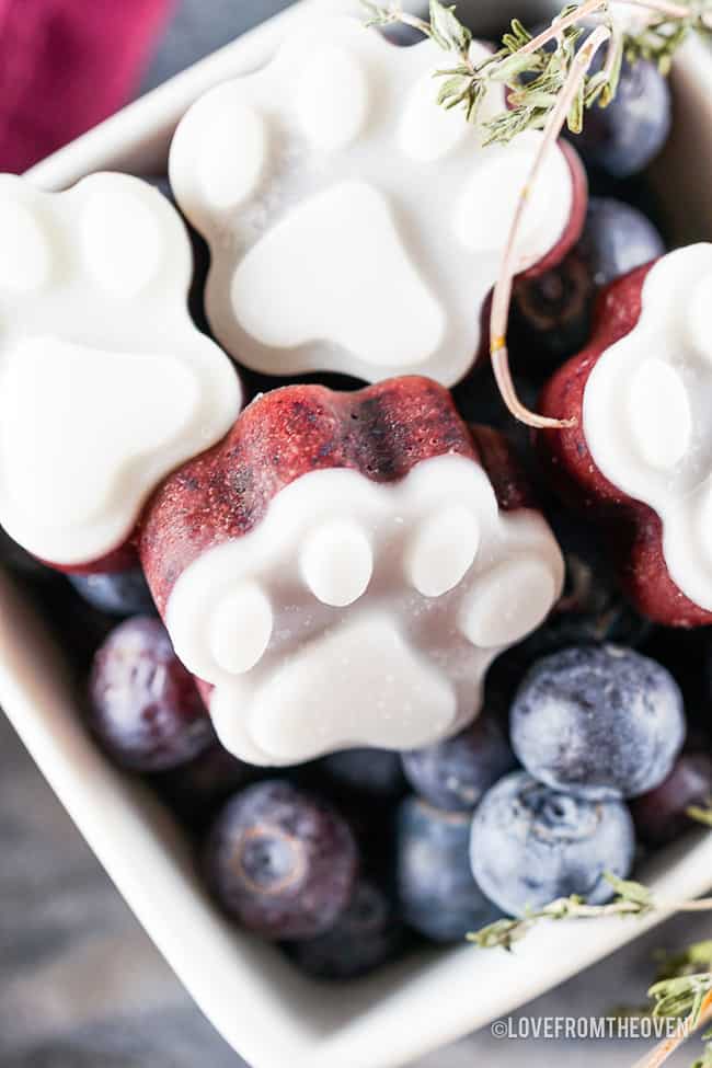 a bowl of frozen dog treats