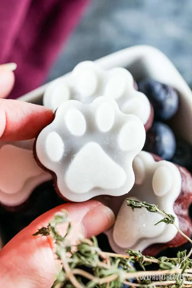 A hand holding a frozen dog treat