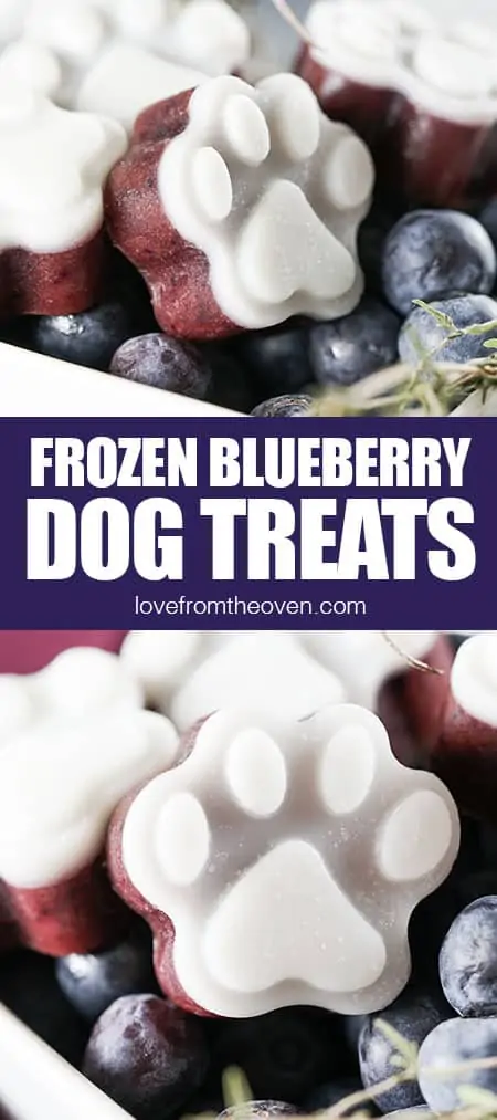 photos of frozen blueberry dog treats