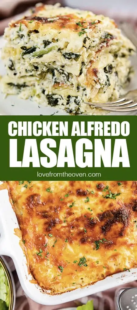 Creamy Chicken Alfredo Lasagna Recipe • Love From The Oven