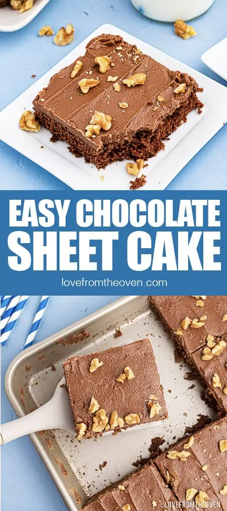 Photos of chocolate sheet cake