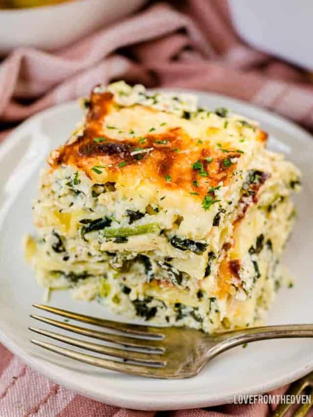 A slice of chicken alfredo lasagna
