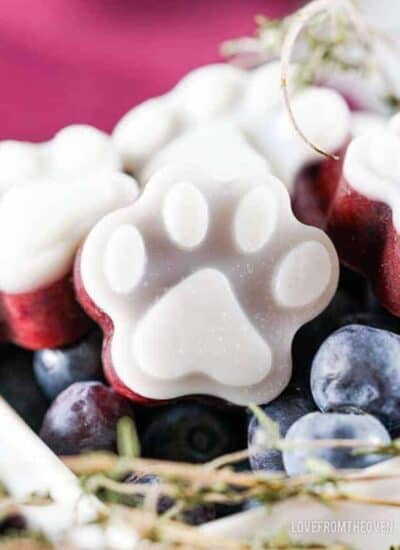 a close up of a frozen blueberry dog treat