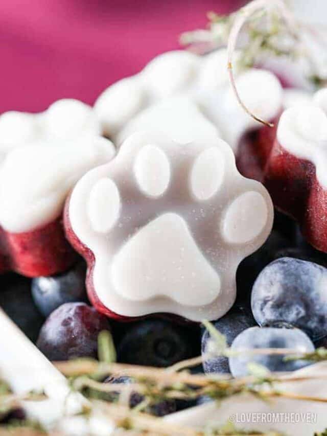 a close up of a frozen blueberry dog treat