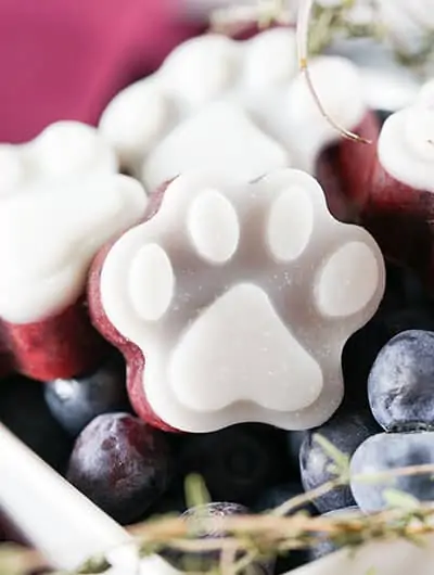blueberry-frozen-dog-treats