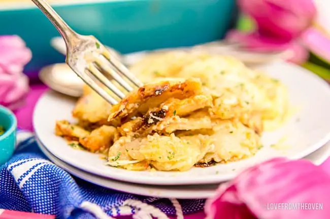 A plate full of scalloped potatoes with a colorful background