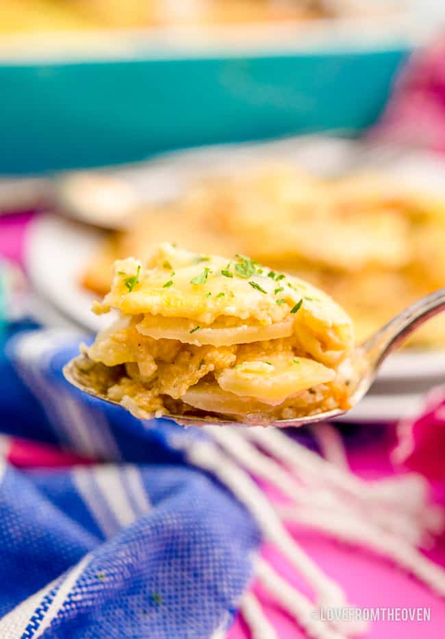 a spoonful of scalloped potatoes with a colorful background behind it