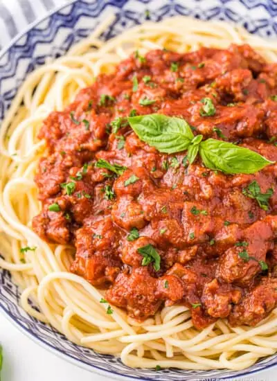 A bowl of pasta with homemade spaghetti sauce