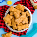 A bowl of pumpkin dog treats.