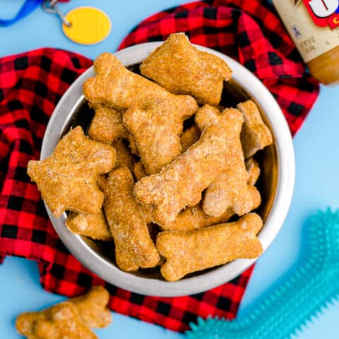 A bowl of pumpkin dog treats.