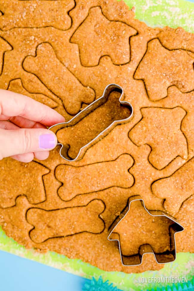 a hand cutting out pumpkin dog treats
