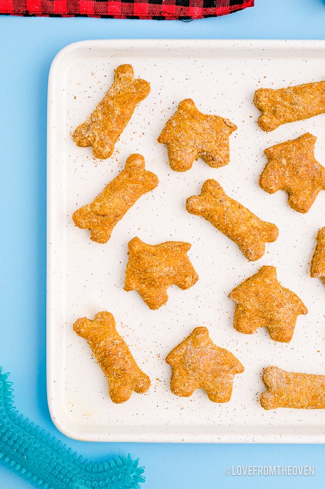 a tray of dog treats