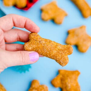 a hand holding pumpkin dog treats