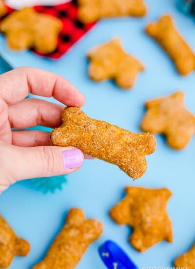 a hand holding pumpkin dog treats