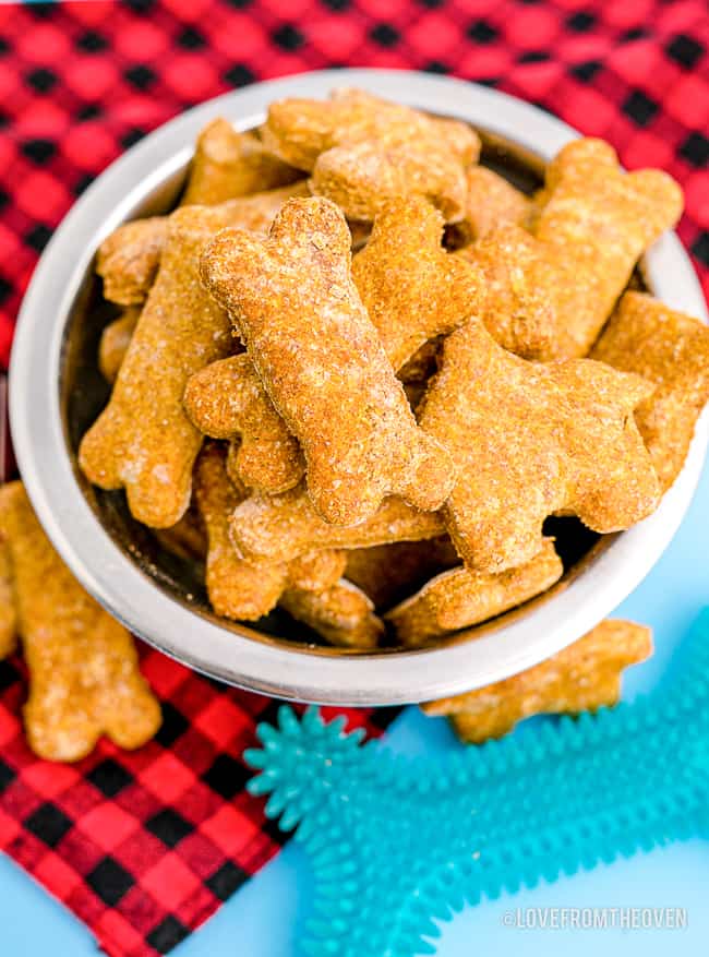 a bowl of pumpkin dog treats