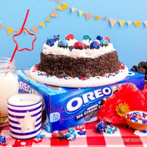 Oreo ice cream cake on a box