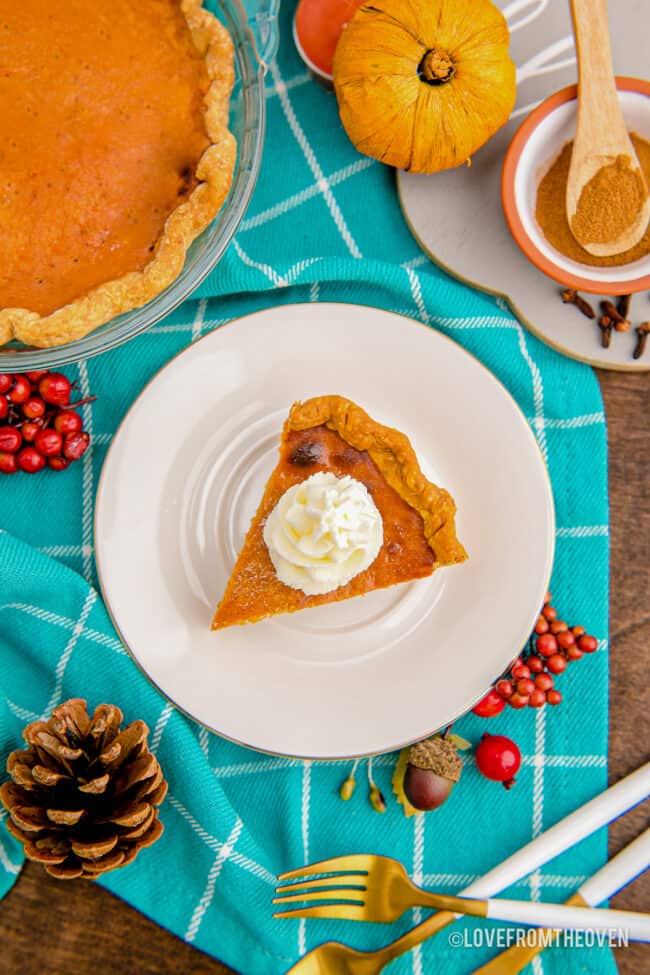 An overhead photo of pumpkin pie.