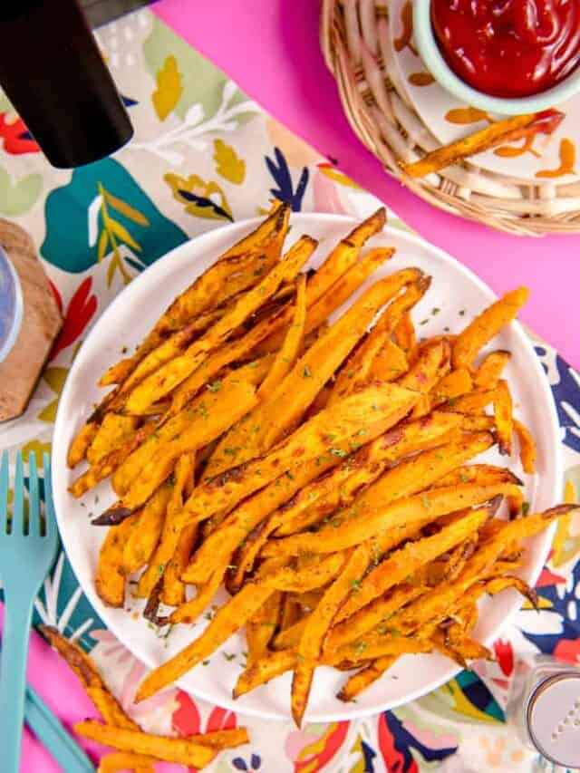 cropped-air-fyer-sweet-potato-fries-19.jpg