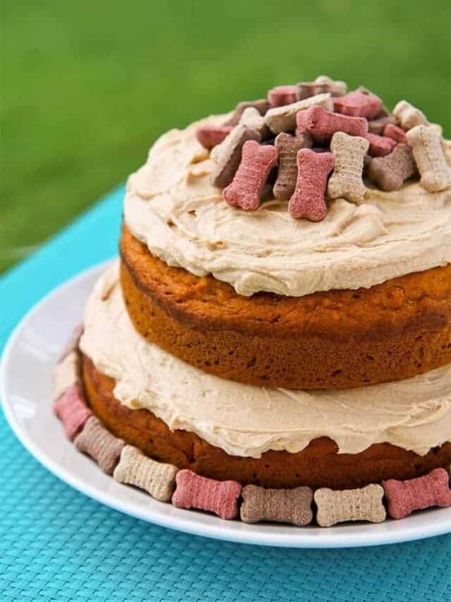 cropped-dog-cake-recipe-1.jpeg