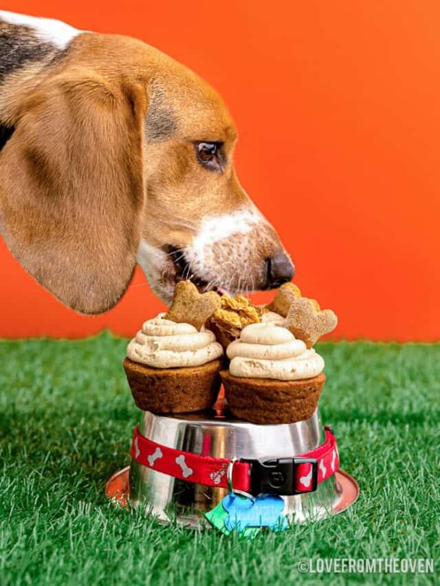 cropped-pupcake.jpg