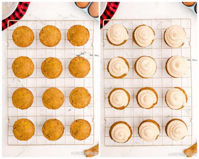 Cupcakes for dogs, with and without frosting. 