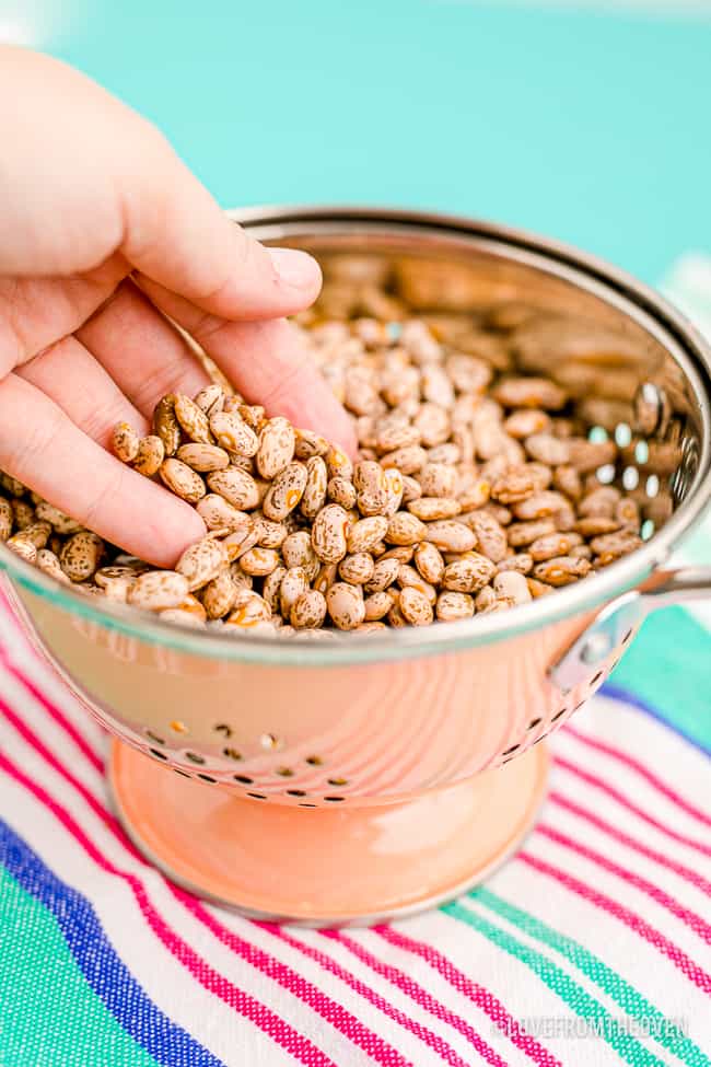 Pinto beans in a strainer with a hand grabbing some.
