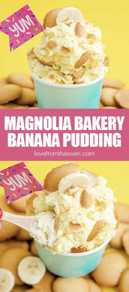 Photos of magnolia bakery banana pudding in aqua green cups.