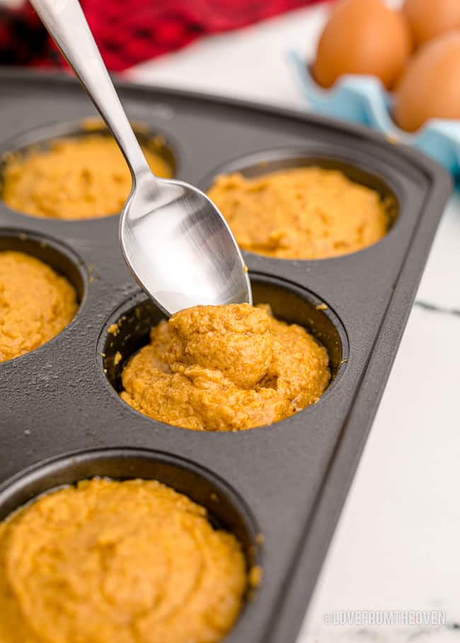 A spoon putting batter into a cupcake pan to make pupcakes.