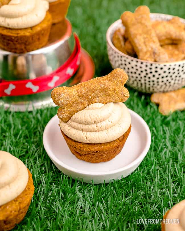 Dog cupcakes with bones on top.