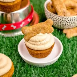 A dog cupcake on a plate on green grass.